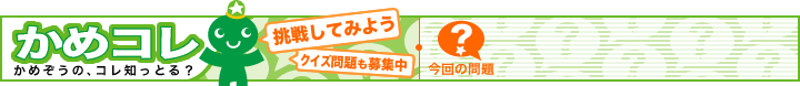 かめコレ〜かめぞうの、コレ知っとる？