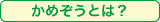 かめぞうとは?
